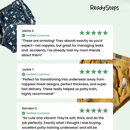 Potty Training Underwear